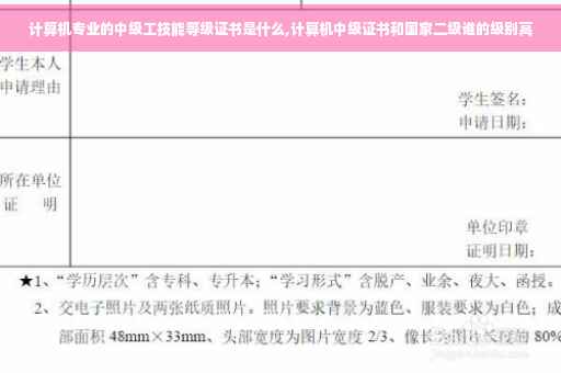 计算机专业的中级工技能等级证书是什么,计算机中级证书和国家二级谁的级别高