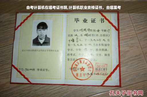 自考计算机在哪考证书啊,计算机职业资格证书，去哪里考