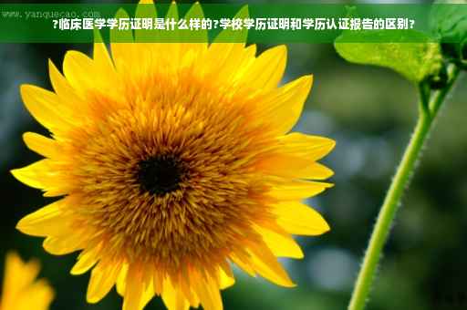 ?临床医学学历证明是什么样的?学校学历证明和学历认证报告的区别?