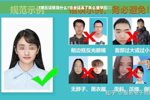 ?学历证明是什么?毕业证丢了怎么查学历⚡️