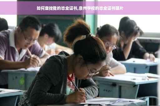 如何查找我的毕业证书,泉州学校的毕业证书图片