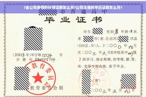 ?由公司参保的社保证明怎么开?公司注册的学历证明怎么开?