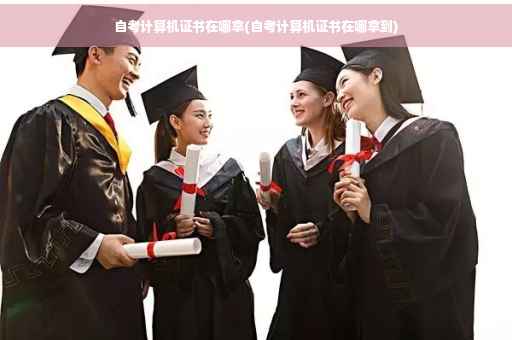 自考计算机证书在哪拿(自考计算机证书在哪拿到)
