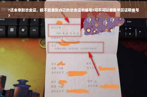 ?还未拿到毕业证，能不能查到自己的毕业证书编号?可不可以查我学历证明编号
?