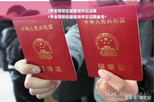 ?学业等级在哪查询学历证明
?学业等级在哪查询学历证明编号?