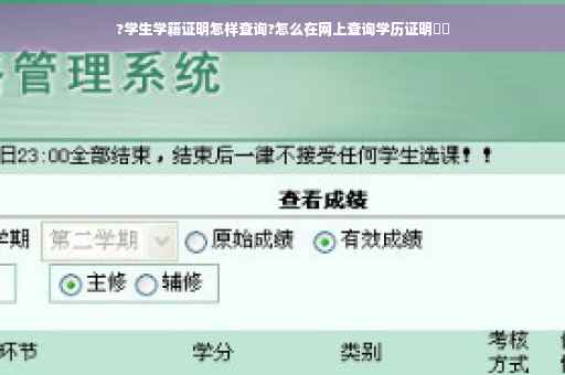 ?学生学籍证明怎样查询?怎么在网上查询学历证明⚡️