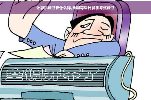 计算机证书长什么样,全国等级计算机考试证书