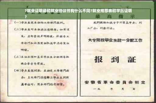 ?就业证明函和就业协议书有什么不同?就业推荐表和学历证明
?