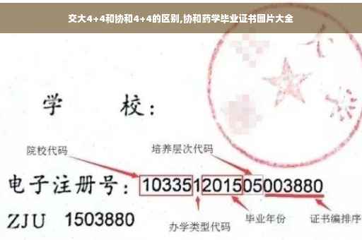 交大4+4和协和4+4的区别,协和药学毕业证书图片大全