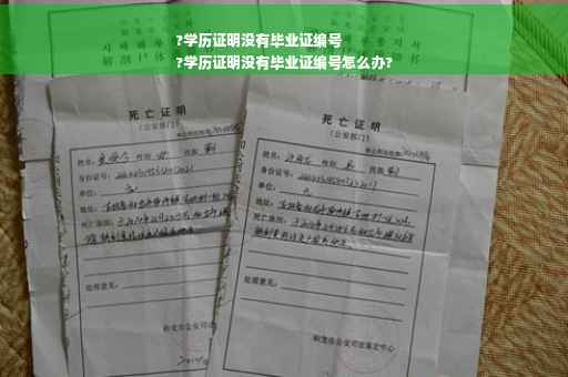 ?学历证明没有毕业证编号
?学历证明没有毕业证编号怎么办?