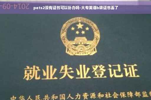 pets2没有证书可以补办吗-大专英语b级证书丢了
