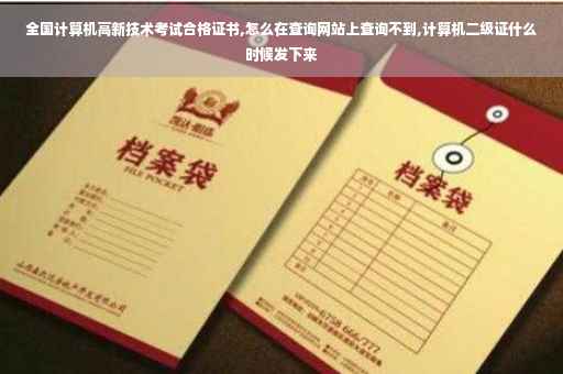全国计算机高新技术考试合格证书,怎么在查询网站上查询不到,计算机二级证什么时候发下来