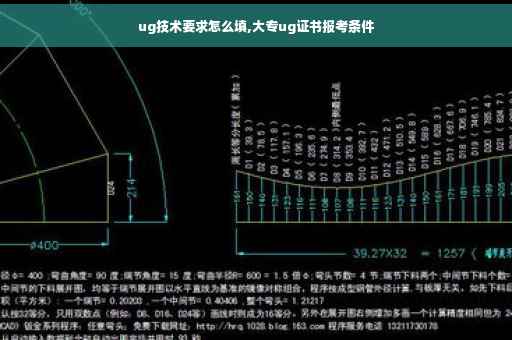 ug技术要求怎么填,大专ug证书报考条件