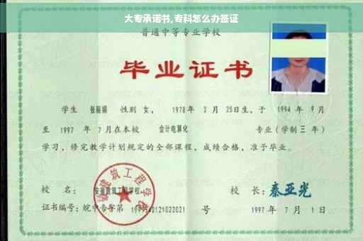大专承诺书,专科怎么办签证