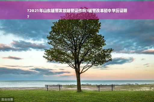 ?2021年山东辅警发放辅警证件吗?辅警改革初中学历证明
?