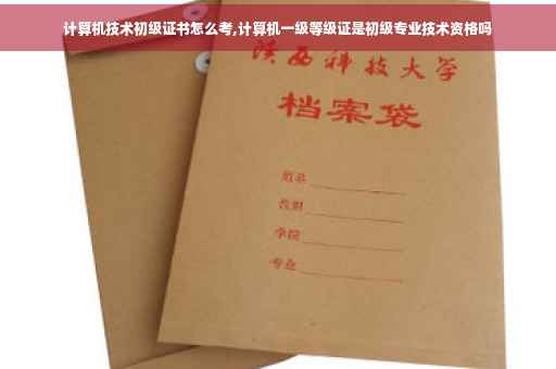计算机技术初级证书怎么考,计算机一级等级证是初级专业技术资格吗