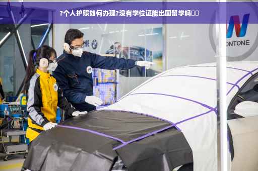 ?个人护照如何办理?没有学位证能出国留学吗⚡️