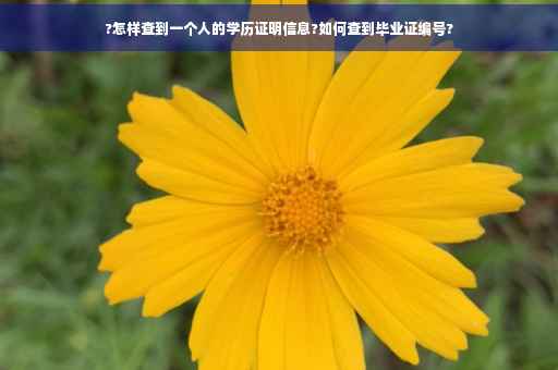 ?怎样查到一个人的学历证明信息?如何查到毕业证编号? ?怎样查到一个人的学历证明信息?如何查到毕业证编号?