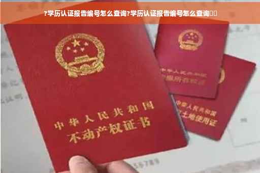 ?学历认证报告编号怎么查询?学历认证报告编号怎么查询⚡️