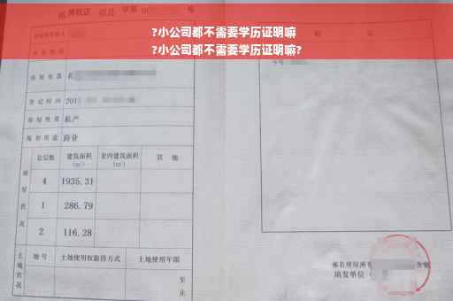 ?小公司都不需要学历证明嘛
?小公司都不需要学历证明嘛?