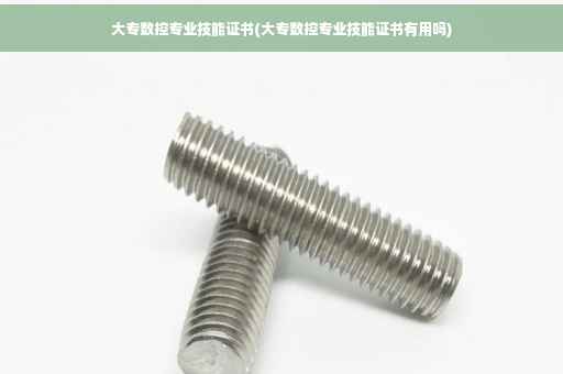 大专数控专业技能证书(大专数控专业技能证书有用吗)
