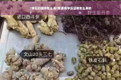 ?学历扫描件怎么弄?想要看学历证明怎么弄的
?