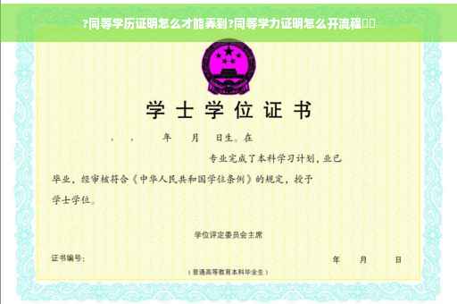 ?同等学历证明怎么才能弄到?同等学力证明怎么开流程⚡️