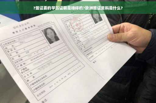 ?签证要的学历证明是啥样的?欧洲签证资料是什么?