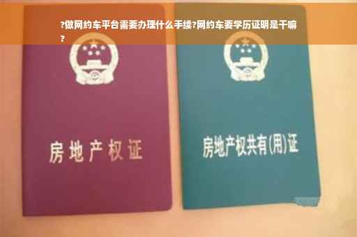 ?做网约车平台需要办理什么手续?网约车要学历证明是干嘛
?
