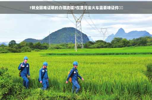 ?就业困难证明的办理流程?在漯河坐火车需要啥证件⚡️