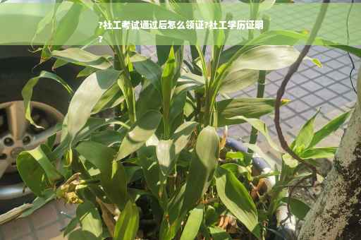 ?社工考试通过后怎么领证?社工学历证明
?