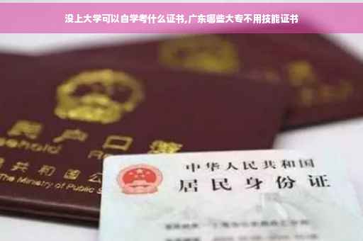 没上大学可以自学考什么证书,广东哪些大专不用技能证书