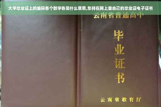 大学毕业证上的编码各个数字各是什么意思,怎样在网上查自己的毕业证电子证书