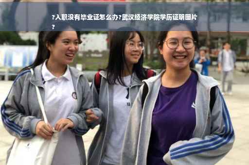 ?入职没有毕业证怎么办?武汉经济学院学历证明图片
?