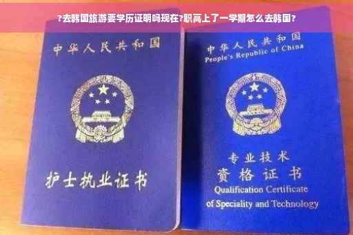 ?去韩国旅游要学历证明吗现在?职高上了一学期怎么去韩国?