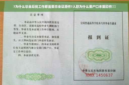 ?为什么毕业后找工作都需要毕业证原件?入职为什么要户口本复印件⚡️