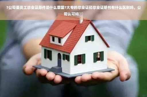 ?公司要员工毕业证原件是什么意国?大专的毕业证和毕业证明书有什么区别吗，公司认可吗⚡️