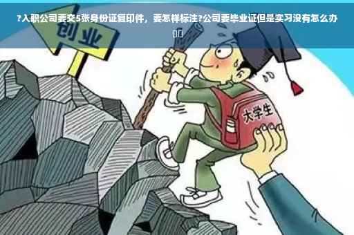 ?入职公司要交5张身份证复印件，要怎样标注?公司要毕业证但是实习没有怎么办⚡️