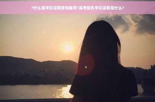 ?什么是学历证明资料编号?高考报名学历证明是什么?