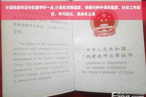 计算机初级证书在哪学好一点,计算机掌握程度、掌握何种外语及程度、社会工作经历、学习经历，具体怎么填