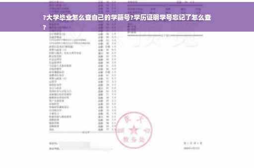 ?大学毕业怎么查自己的学籍号?学历证明学号忘记了怎么查
?
