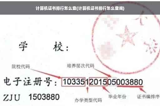 计算机证书排行怎么查(计算机证书排行怎么查询)