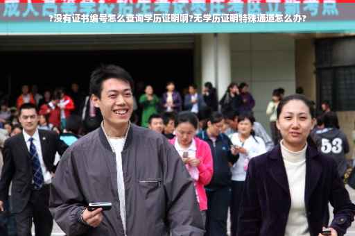 ?没有证书编号怎么查询学历证明啊?无学历证明特殊通道怎么办?