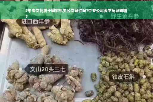 ?中专文凭属于国家机关公文证件吗?中专公司要学历证明嘛
?