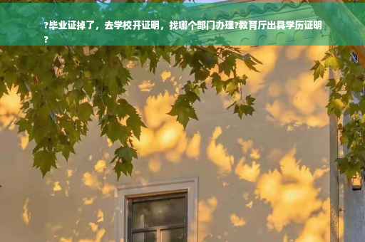 ?毕业证掉了，去学校开证明，找哪个部门办理?教育厅出具学历证明
?