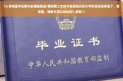 ?人事档案学历部分由哪些组成?要应聘工作时才发现自己的大学毕业证给弄丢了，着急要，啥地方可以补办的？求助⚡️