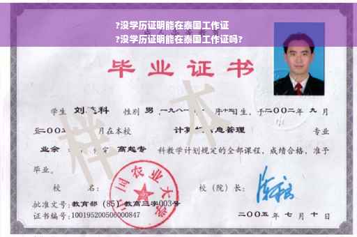 ?没学历证明能在泰国工作证
?没学历证明能在泰国工作证吗?