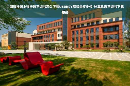 中国银行网上银行数字证书怎么下载USBKEY序号是多少位-计算机数字证书下载安装