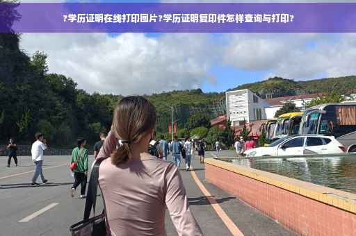 ?学历证明在线打印图片?学历证明复印件怎样查询与打印?