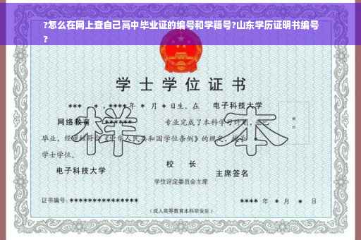 ?怎么在网上查自己高中毕业证的编号和学籍号?山东学历证明书编号
?